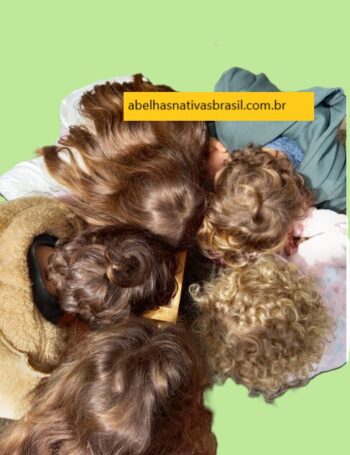 Abelhas Nativas em Sala de Aula: Aprenda e Proteja o Meio Ambiente