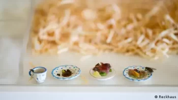 De Fabricante de Inseticidas a Protetor dos Insetos: Uma História que Inspira um Novo Olhar