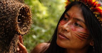 Livro que reúne saberes do povo Wajãpi sobre abelhas nativas é lançado e tem novo evento de lançamento marcado